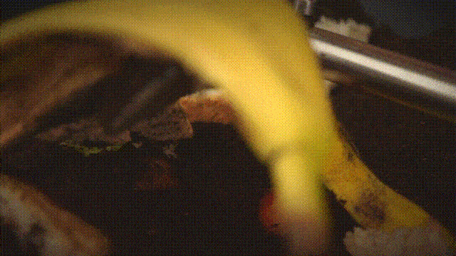 GEME Home Electric Composter Step 2