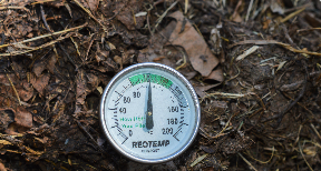 compost temperature